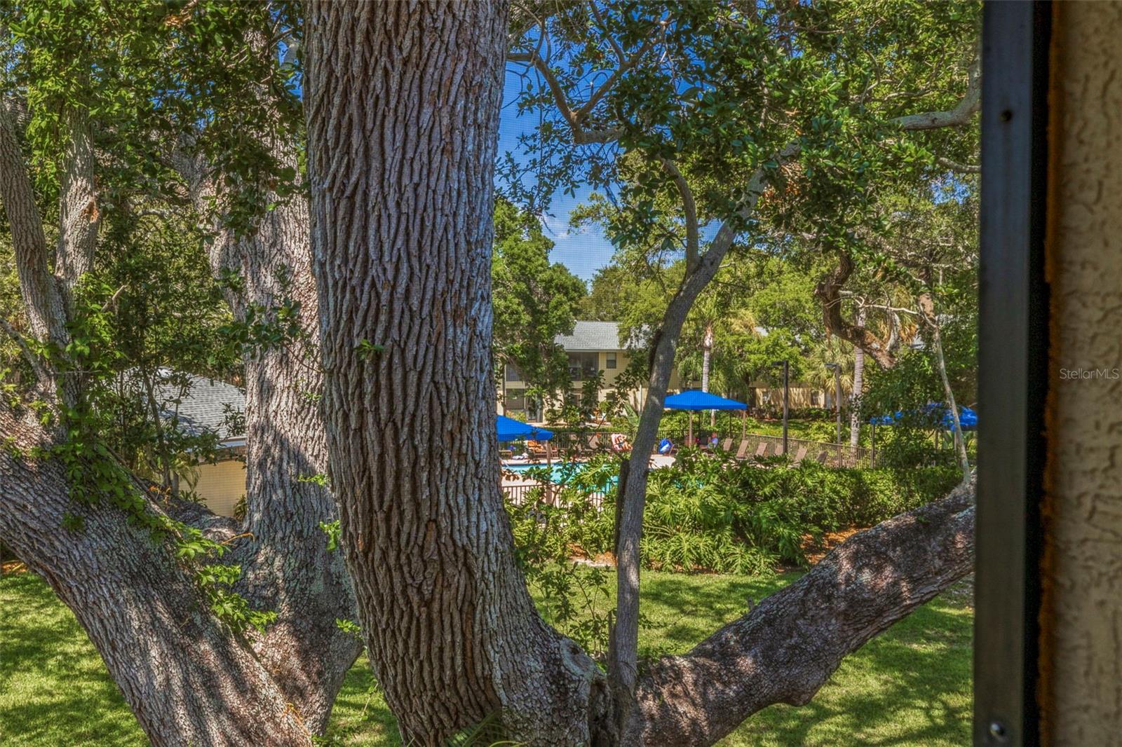 Image 31 of 55 For 3001 58th Avenue S 1014