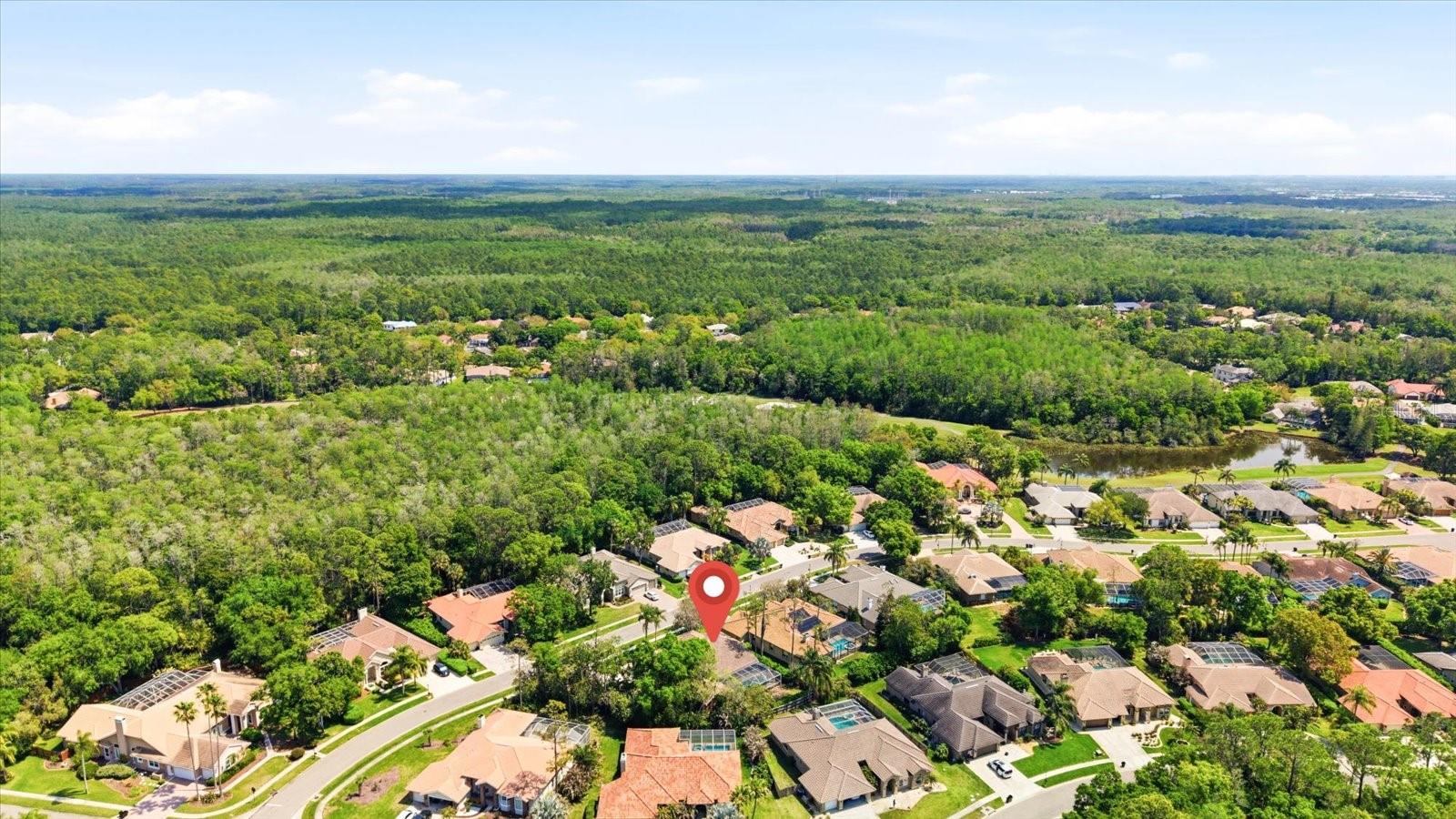 Image 46 of 59 For 1384 Forestedge Boulevard