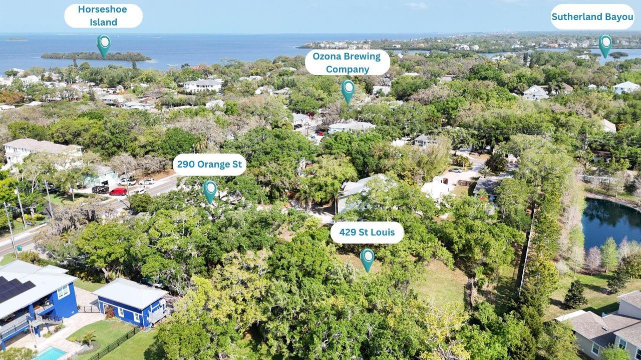 Image 3 of 11 For 429 St Louis Avenue