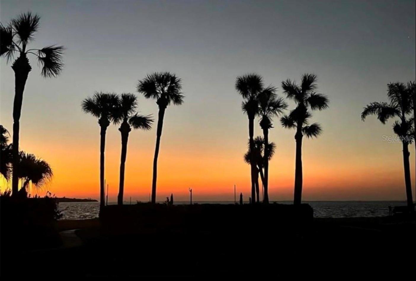 Image 3 of 47 For 7520 Sunshine Skyway Lane S T18