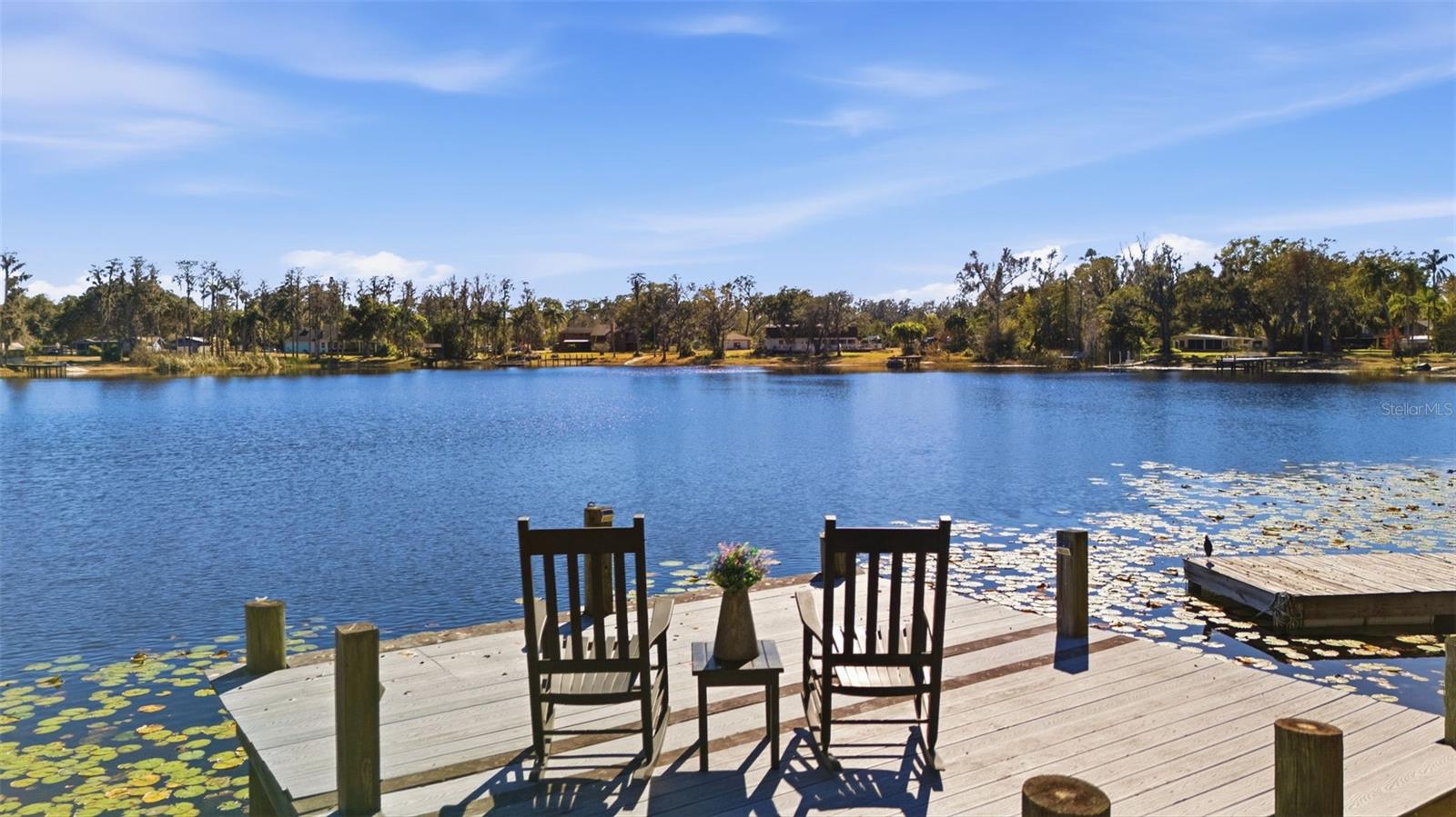 Details for 9214 Rhea Drive, ODESSA, FL 33556