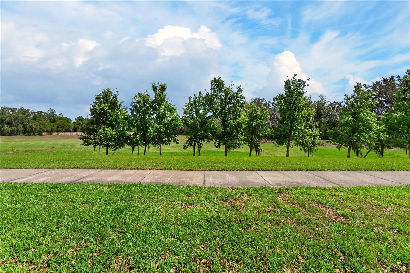 Image 78 of 100 For 15921 Persimmon Grove Drive