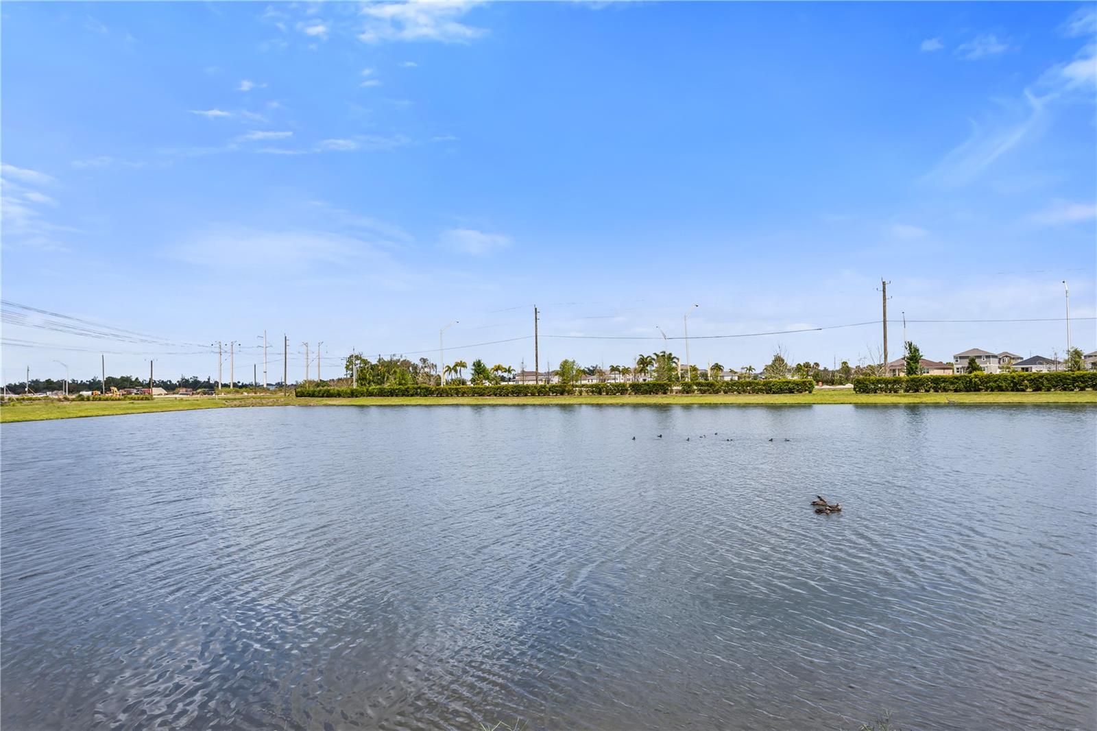 Image 32 of 36 For 10459 Ladybug Cove