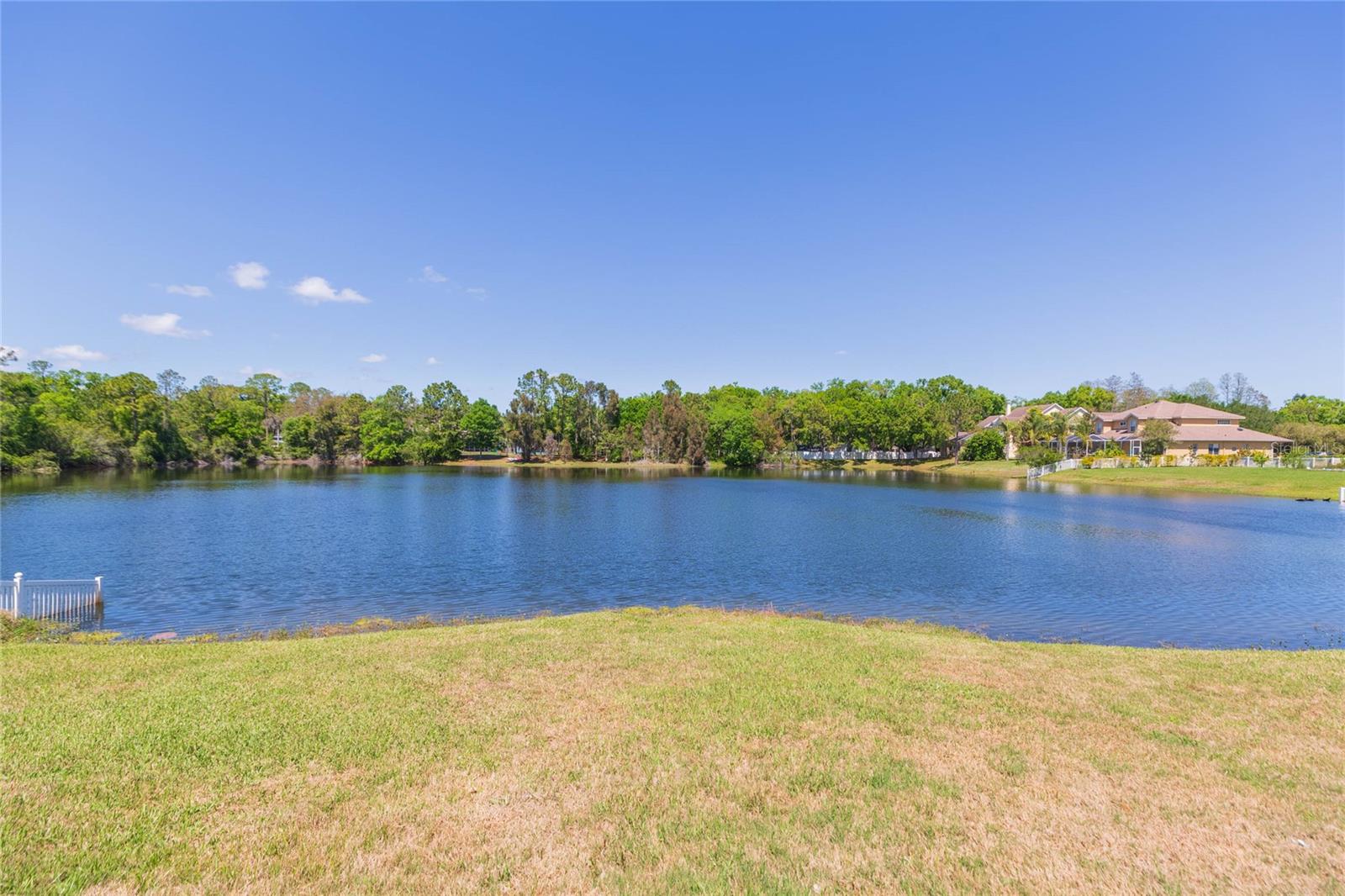 Image 57 of 77 For 16531 Hutchison Road