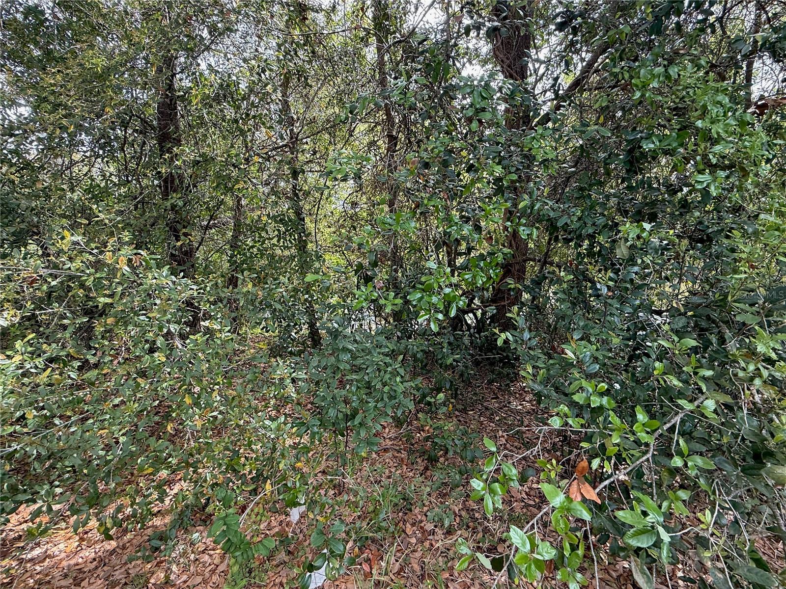 Image 8 of 9 For 4922 Ackerman Street