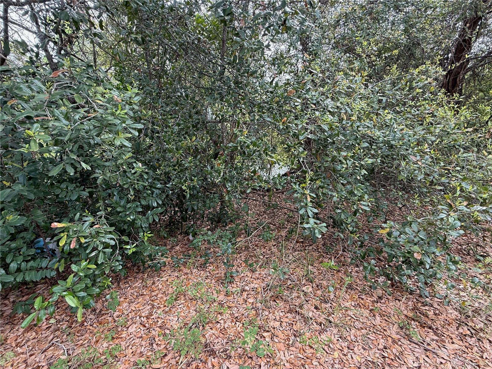 Image 9 of 9 For 4922 Ackerman Street