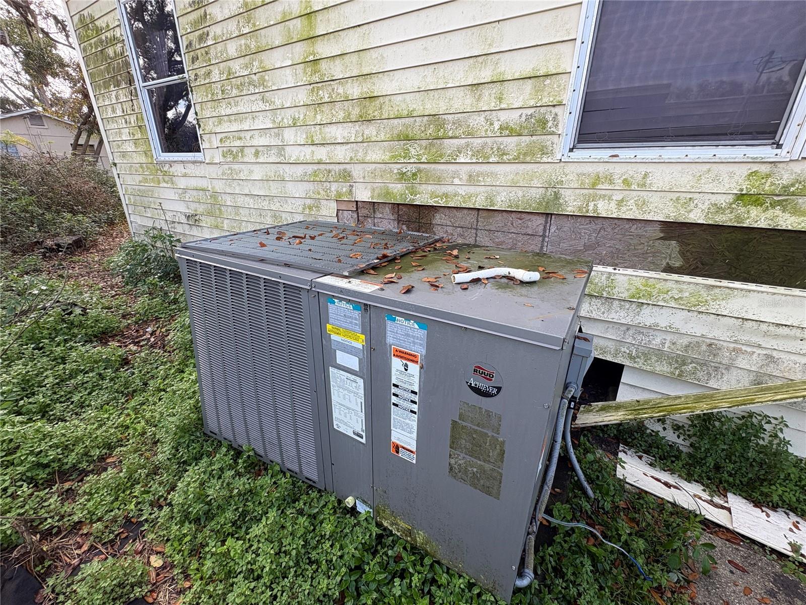 Image 11 of 79 For 10106 Alma Street