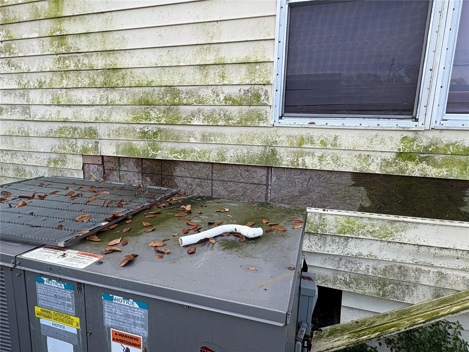 Image 14 of 79 For 10106 Alma Street