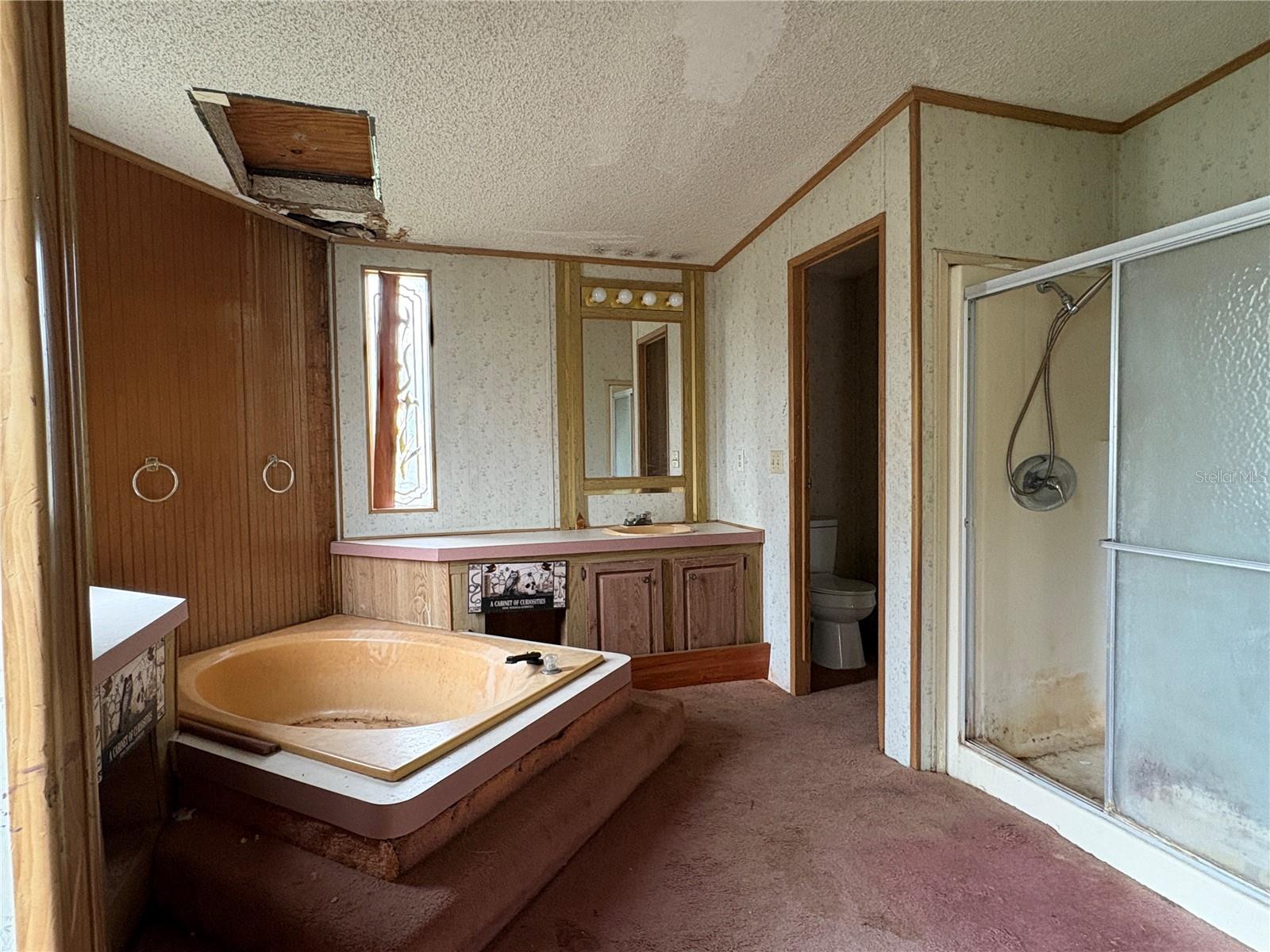 Image 56 of 79 For 10106 Alma Street