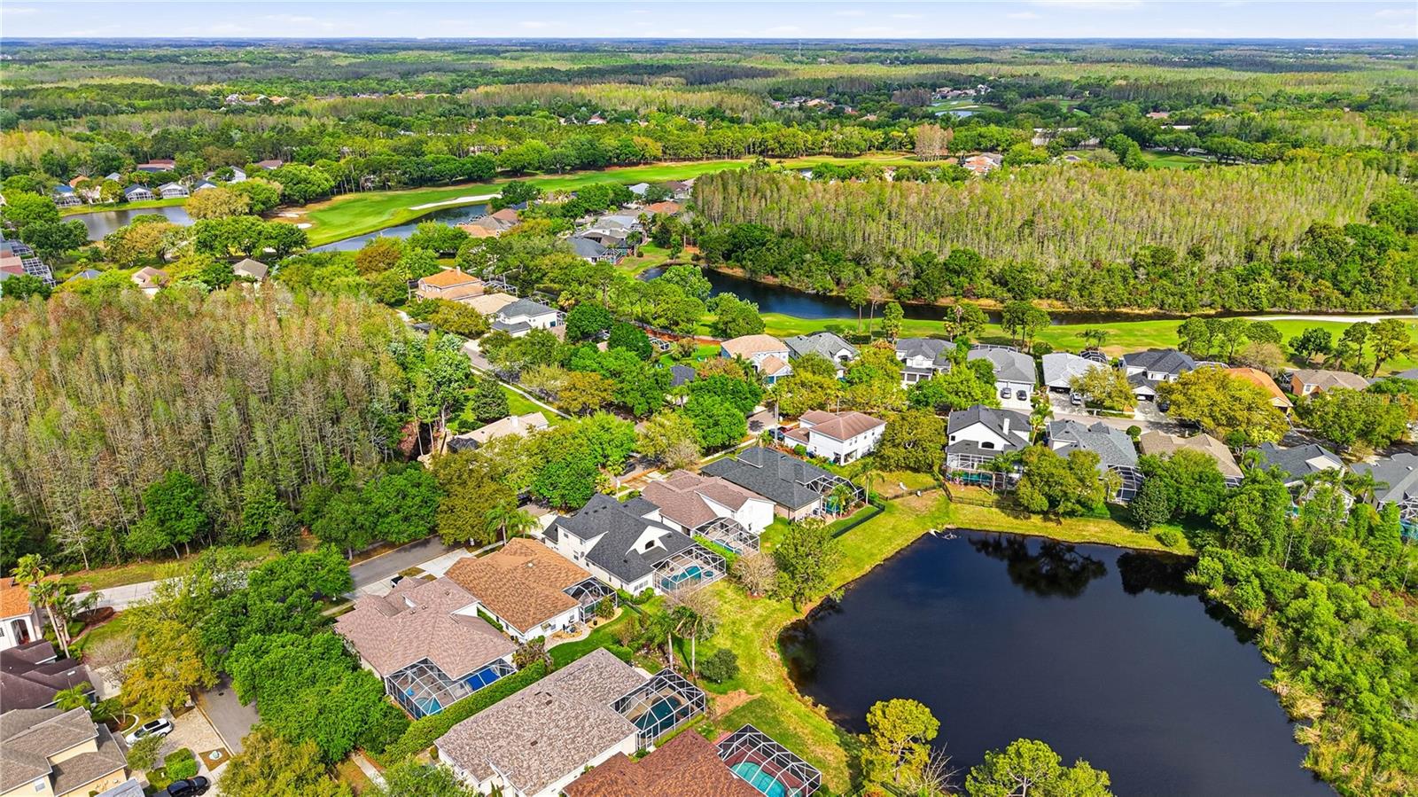 Image 65 of 77 For 18733 Chopin Drive