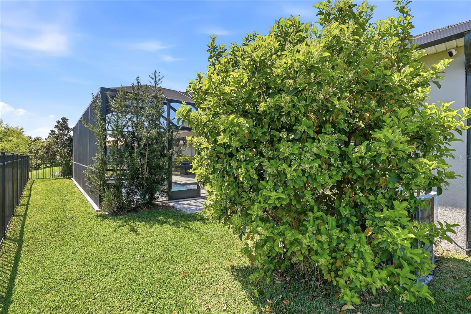 Image 49 of 60 For 5515 Gavella Cove