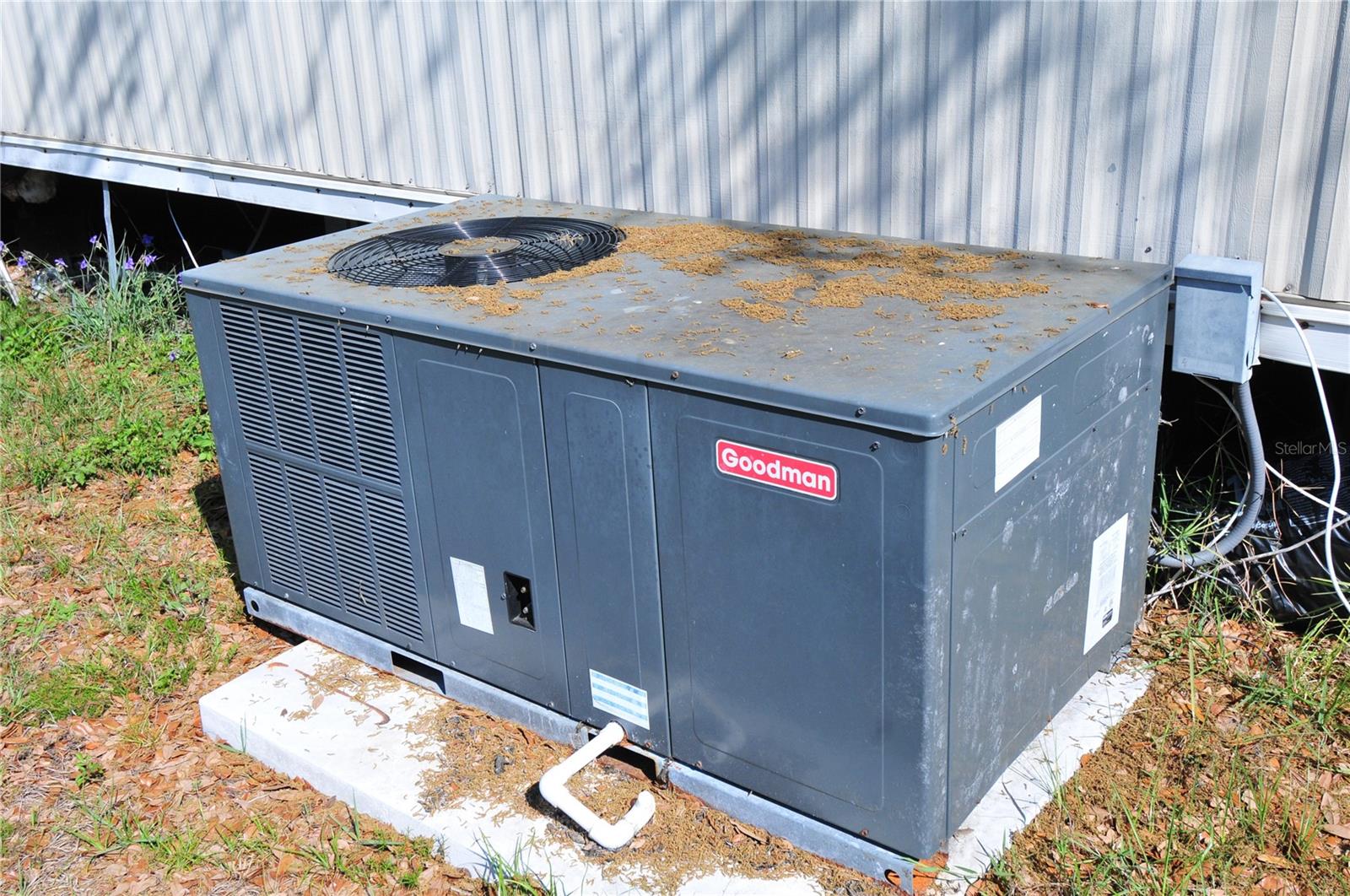 Image 13 of 27 For 10409 Alafia Street