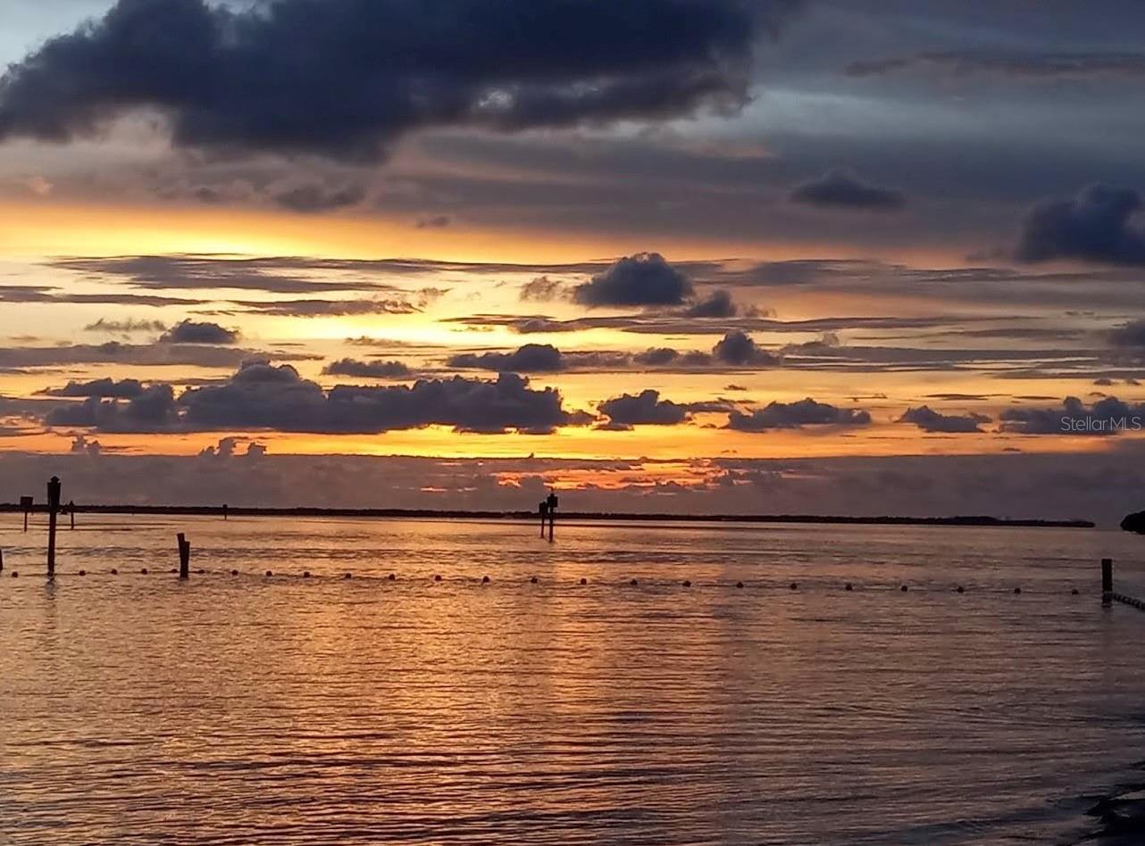 Image 47 of 54 For 1955 Dartmouth Drive