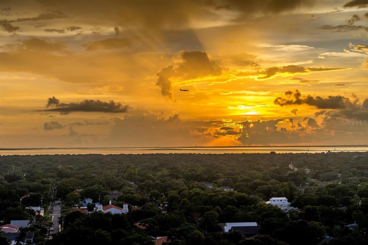 Image 9 of 87 For 3301 Bayshore Boulevard 2207b