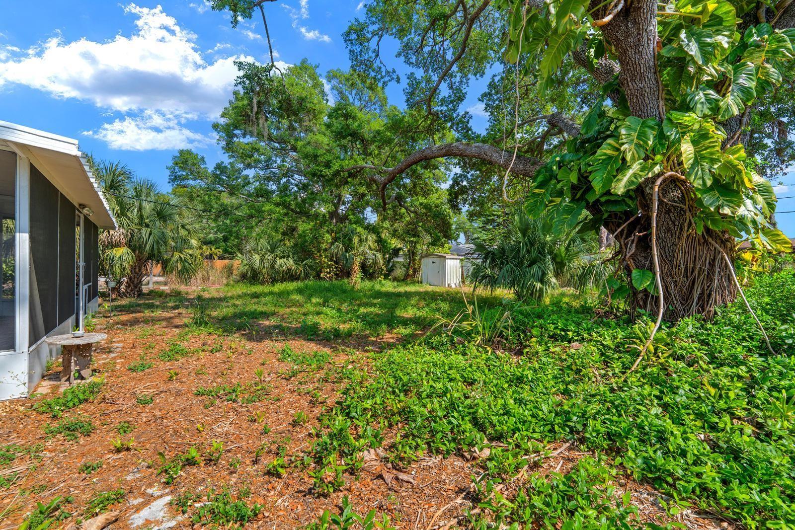 Image 24 of 29 For 2238 Calexico Way S