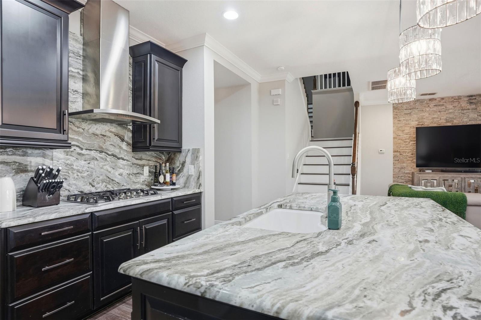 Image 17 of 92 For 1897 Fox Grape Loop