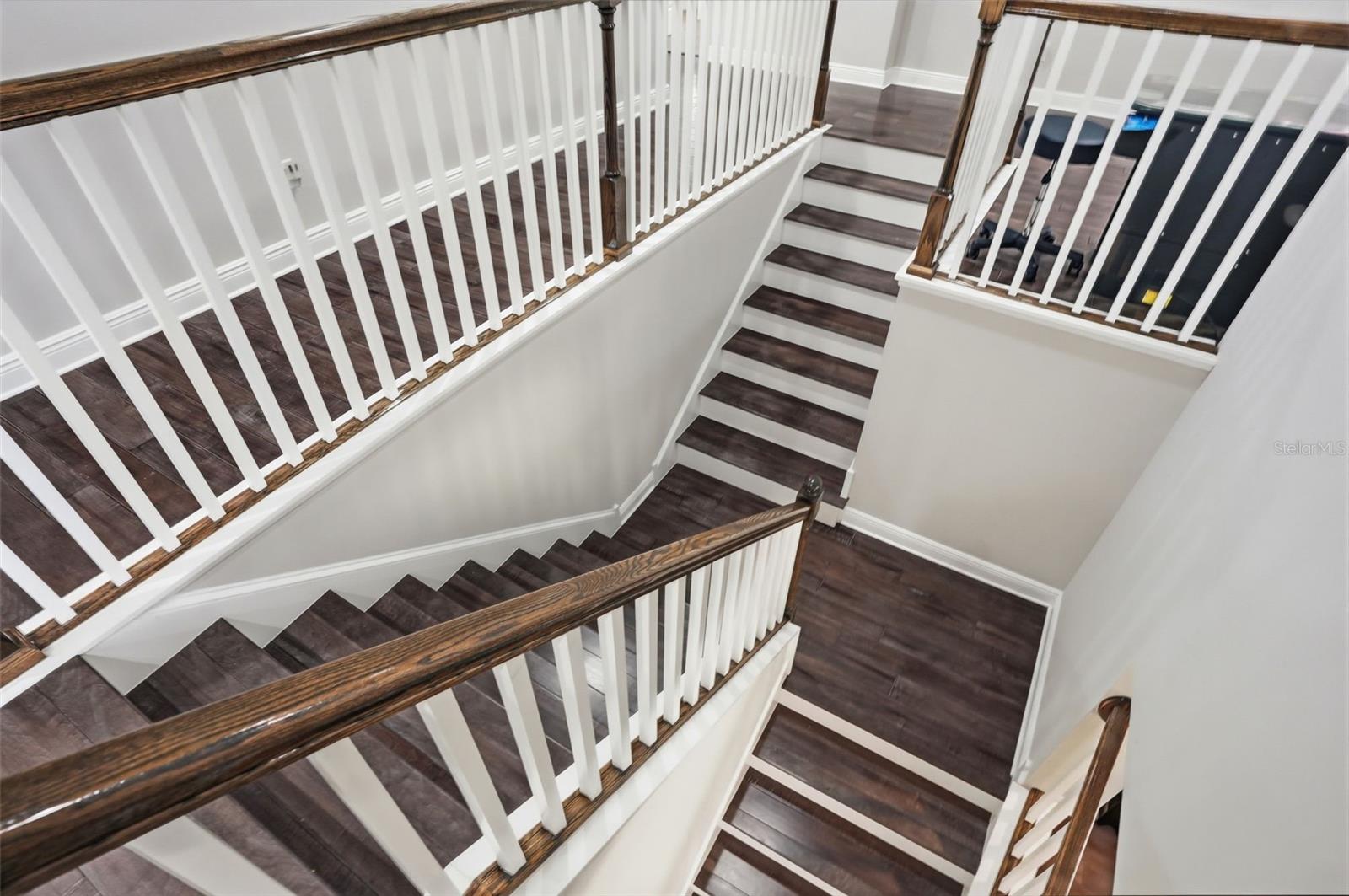 Image 45 of 92 For 1897 Fox Grape Loop