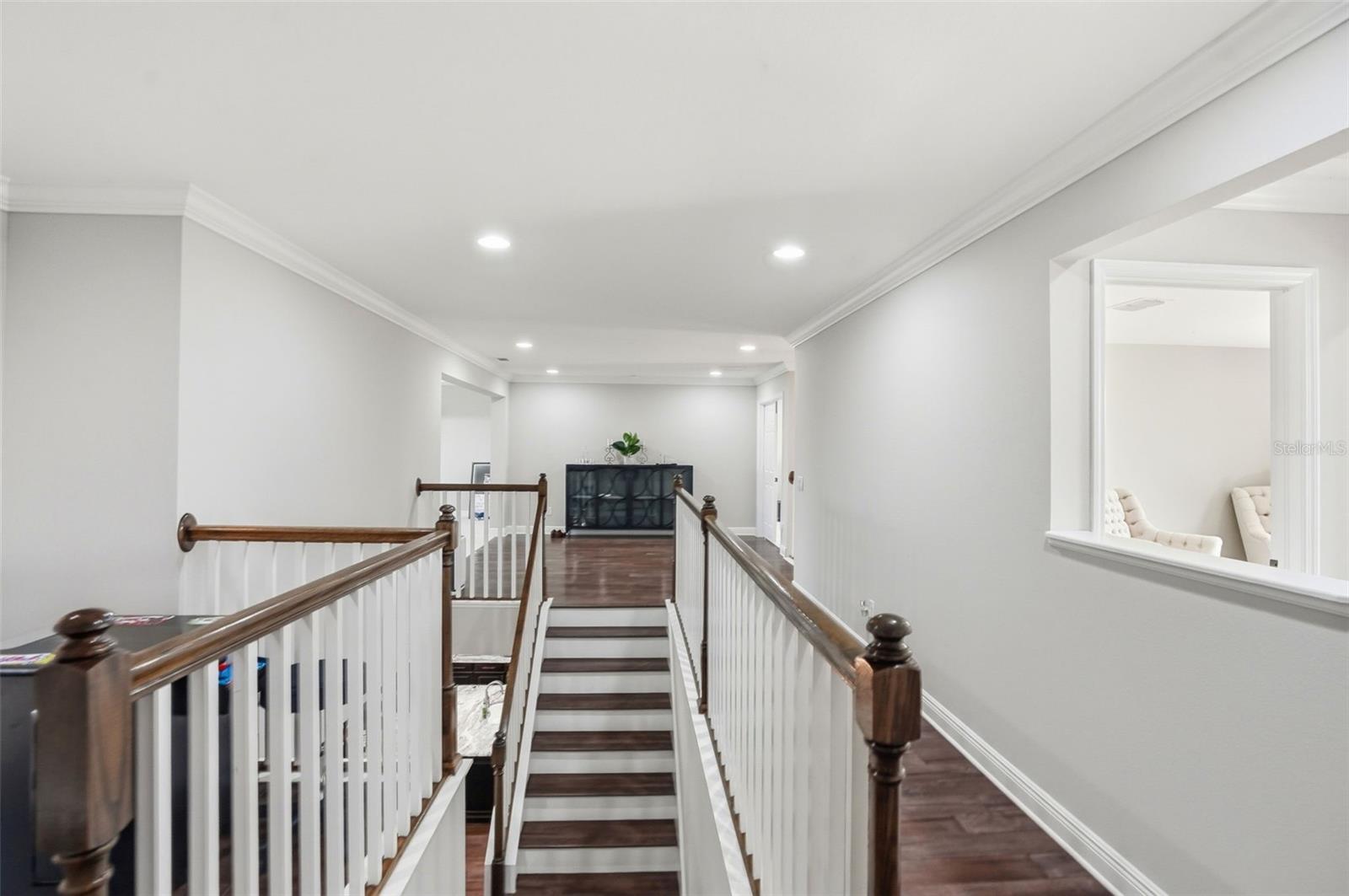 Image 46 of 92 For 1897 Fox Grape Loop