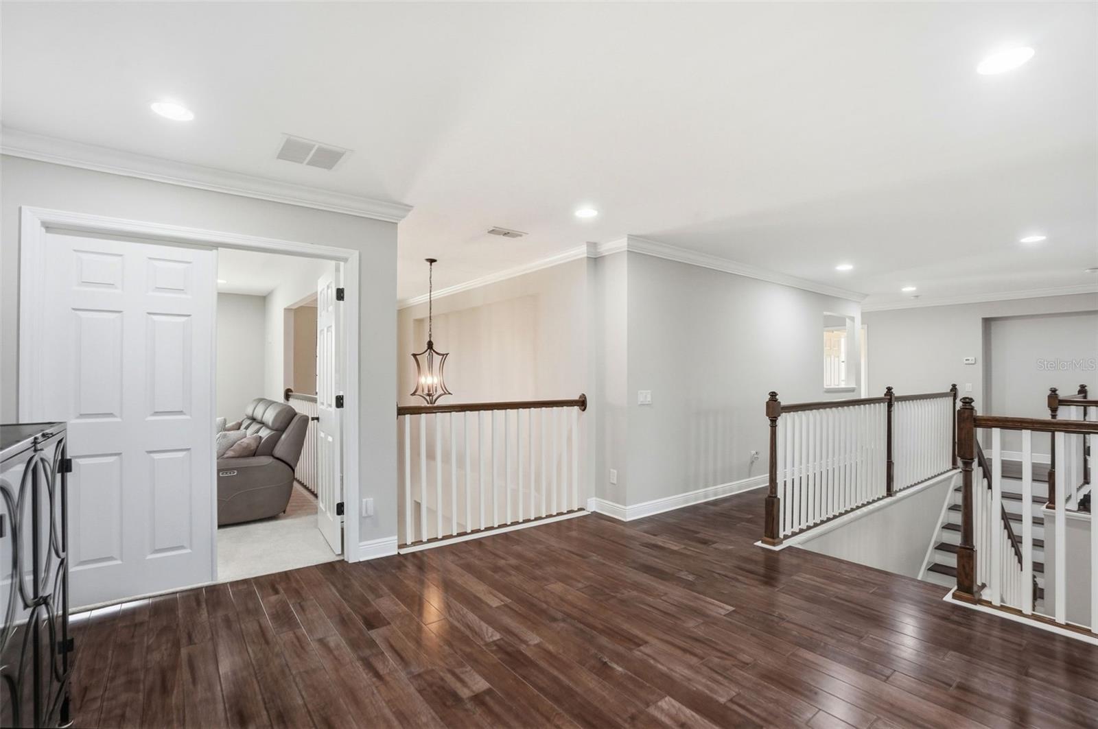 Image 49 of 92 For 1897 Fox Grape Loop