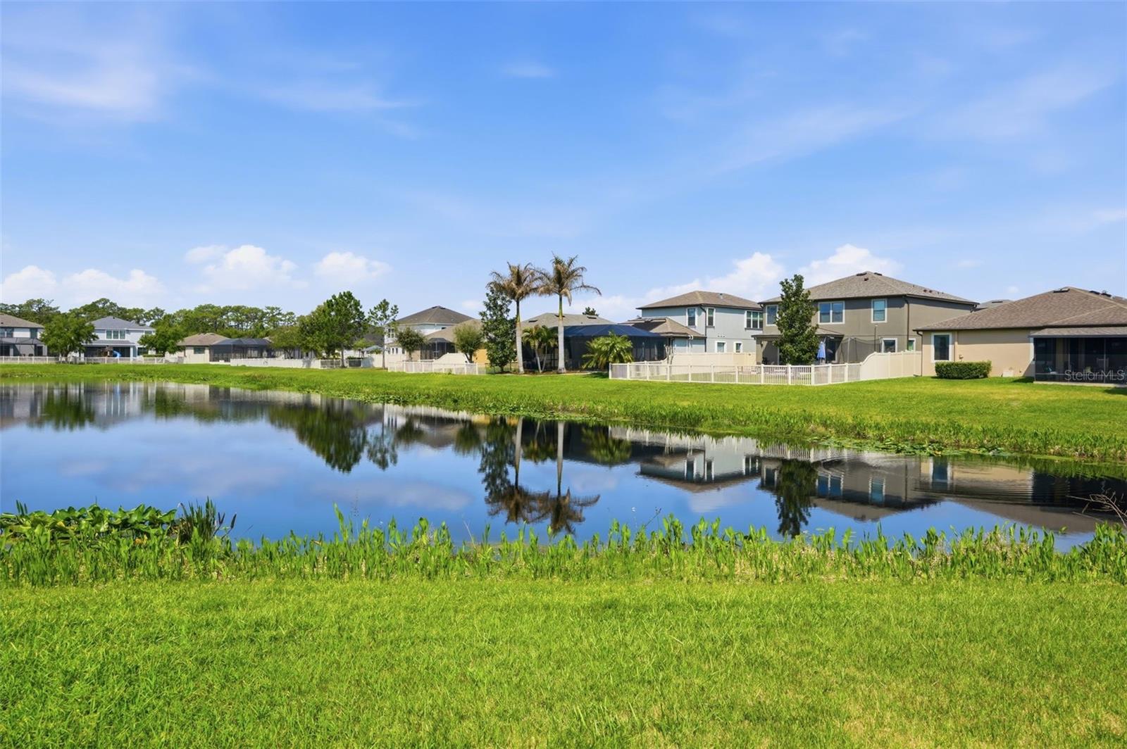 Image 78 of 92 For 1897 Fox Grape Loop