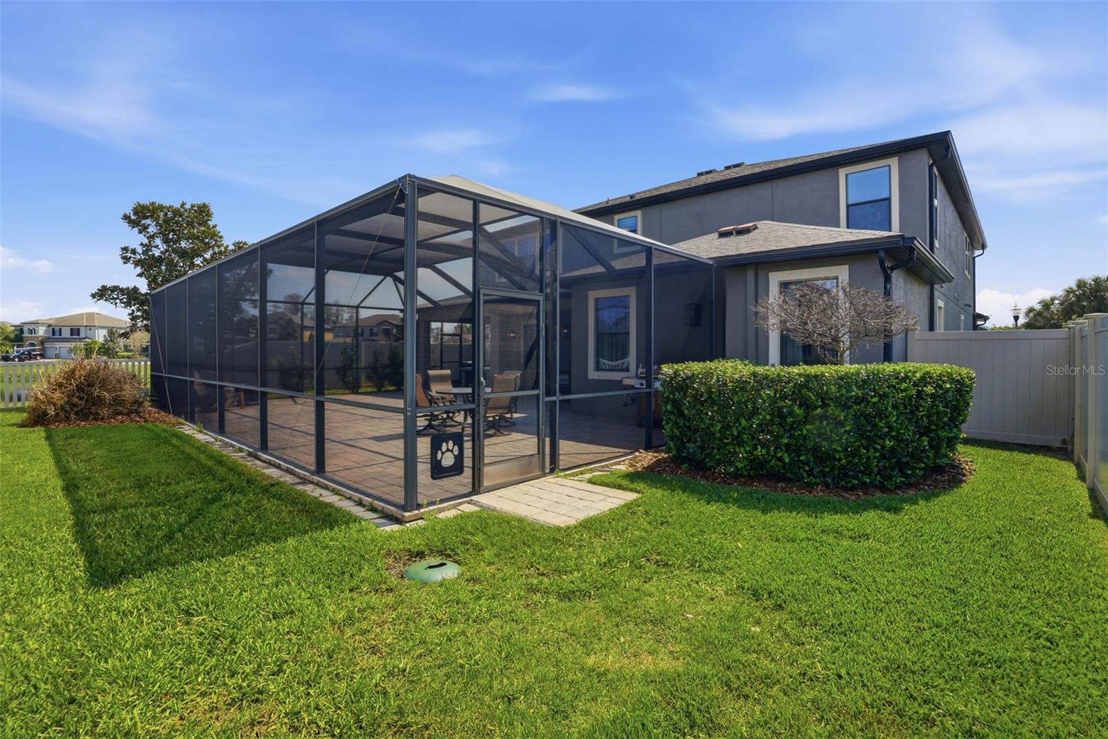 Image 79 of 92 For 1897 Fox Grape Loop