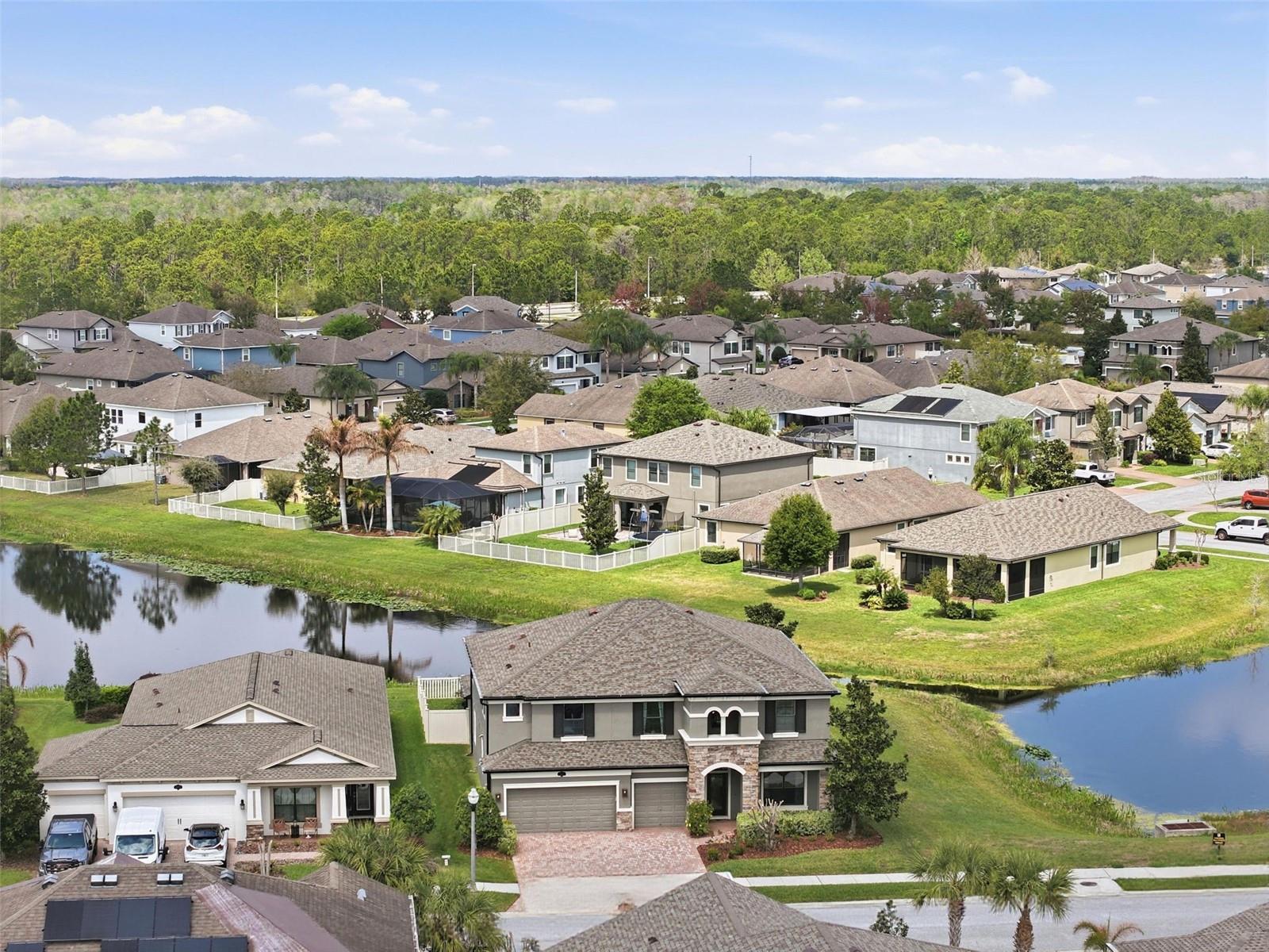 Image 81 of 92 For 1897 Fox Grape Loop