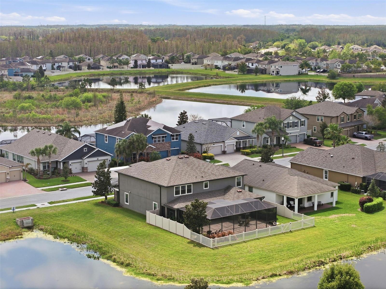 Image 84 of 92 For 1897 Fox Grape Loop