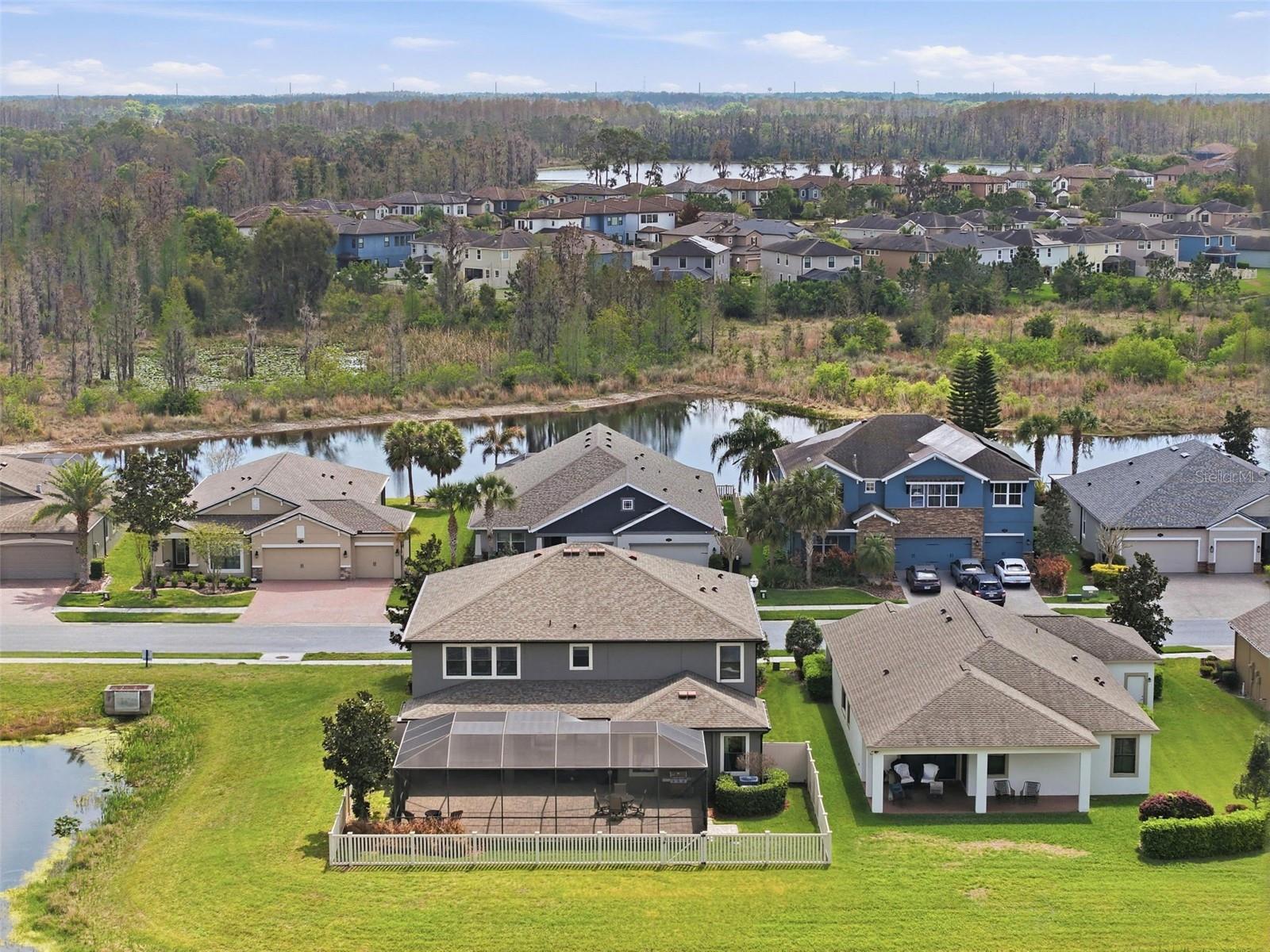 Image 85 of 92 For 1897 Fox Grape Loop