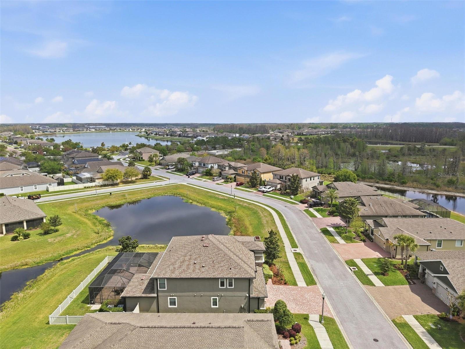 Image 87 of 92 For 1897 Fox Grape Loop