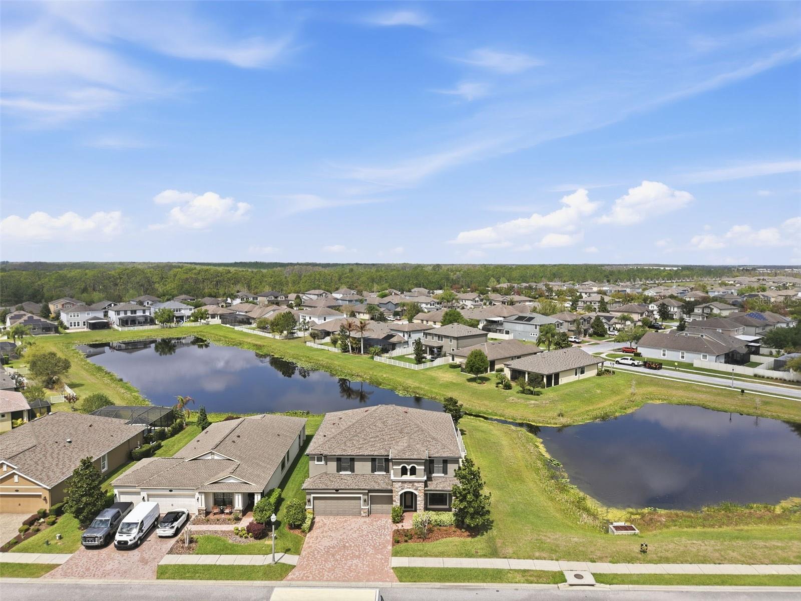 Image 89 of 92 For 1897 Fox Grape Loop