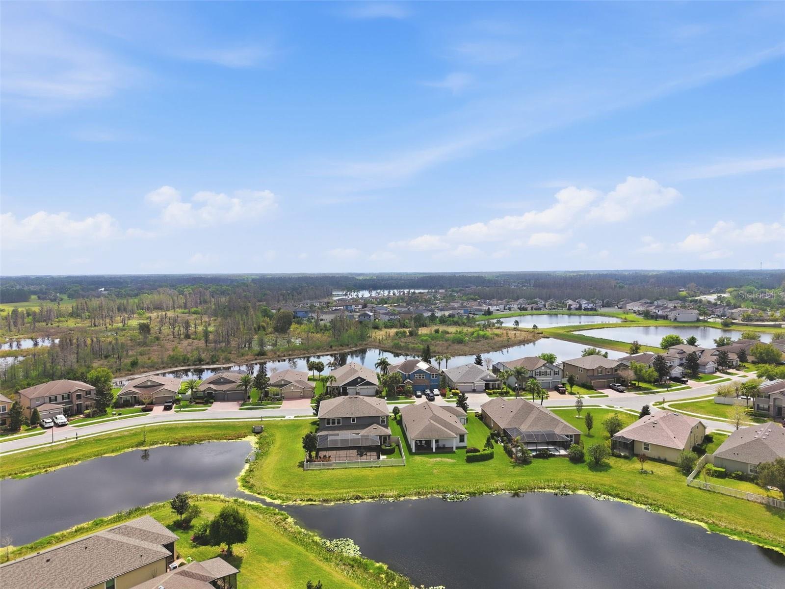 Image 92 of 92 For 1897 Fox Grape Loop