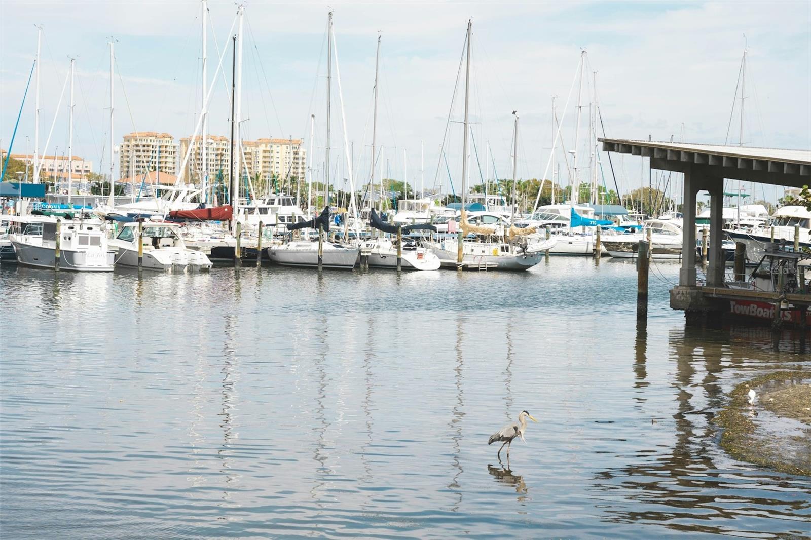 Image 20 of 25 For 5940 21st Street N 11