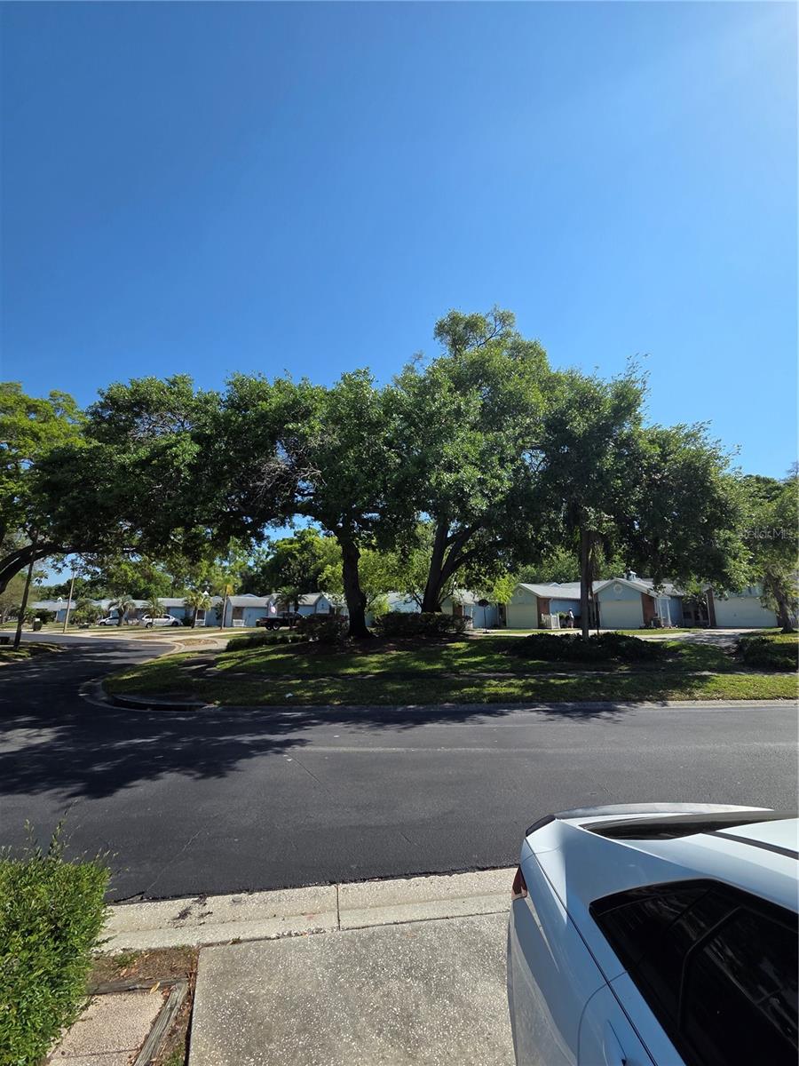 Image 41 of 41 For 3121 Beecher Drive E D