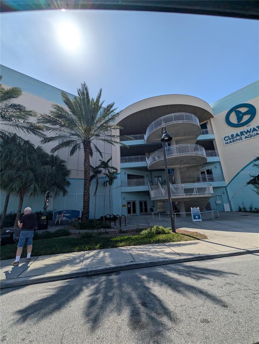 Image 75 of 83 For 255 Dolphin Point 505