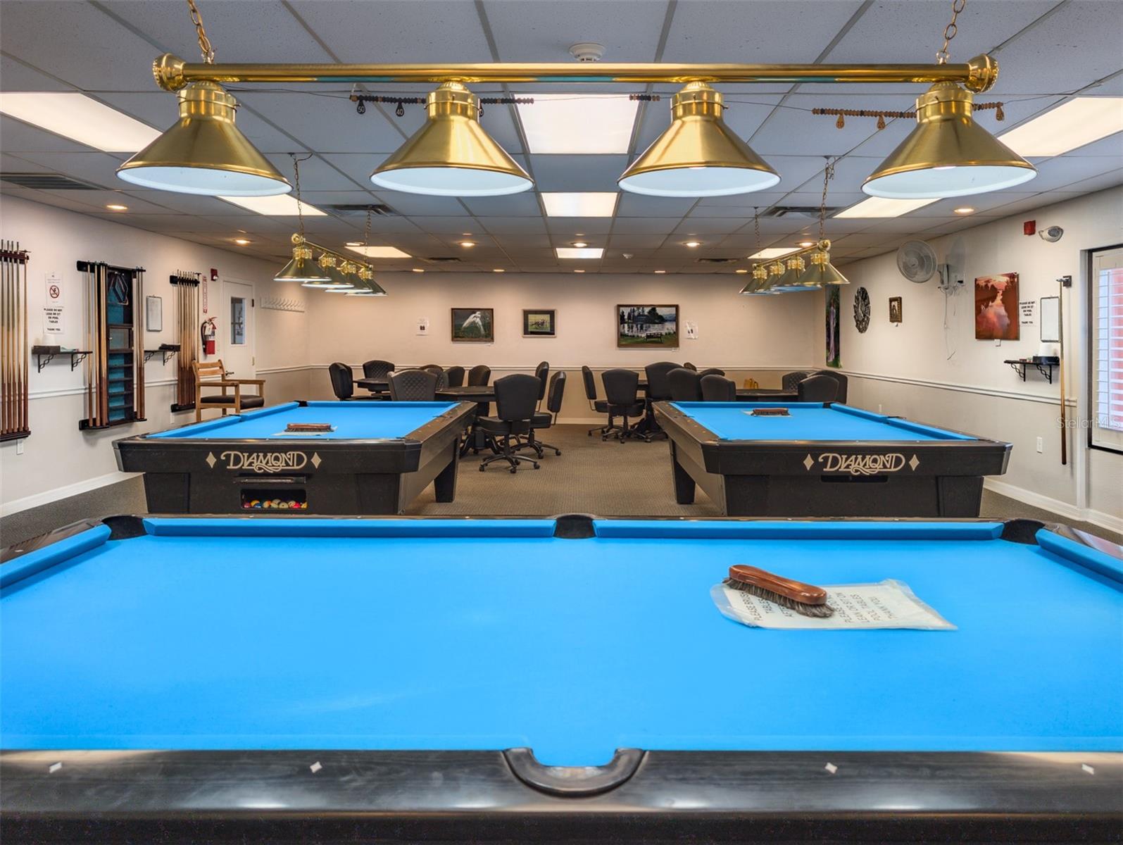 Image 53 of 58 For 11231 Dollar Lake Drive 5