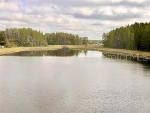 Image 24 of 26 For 2201 Cerulean Sky Drive