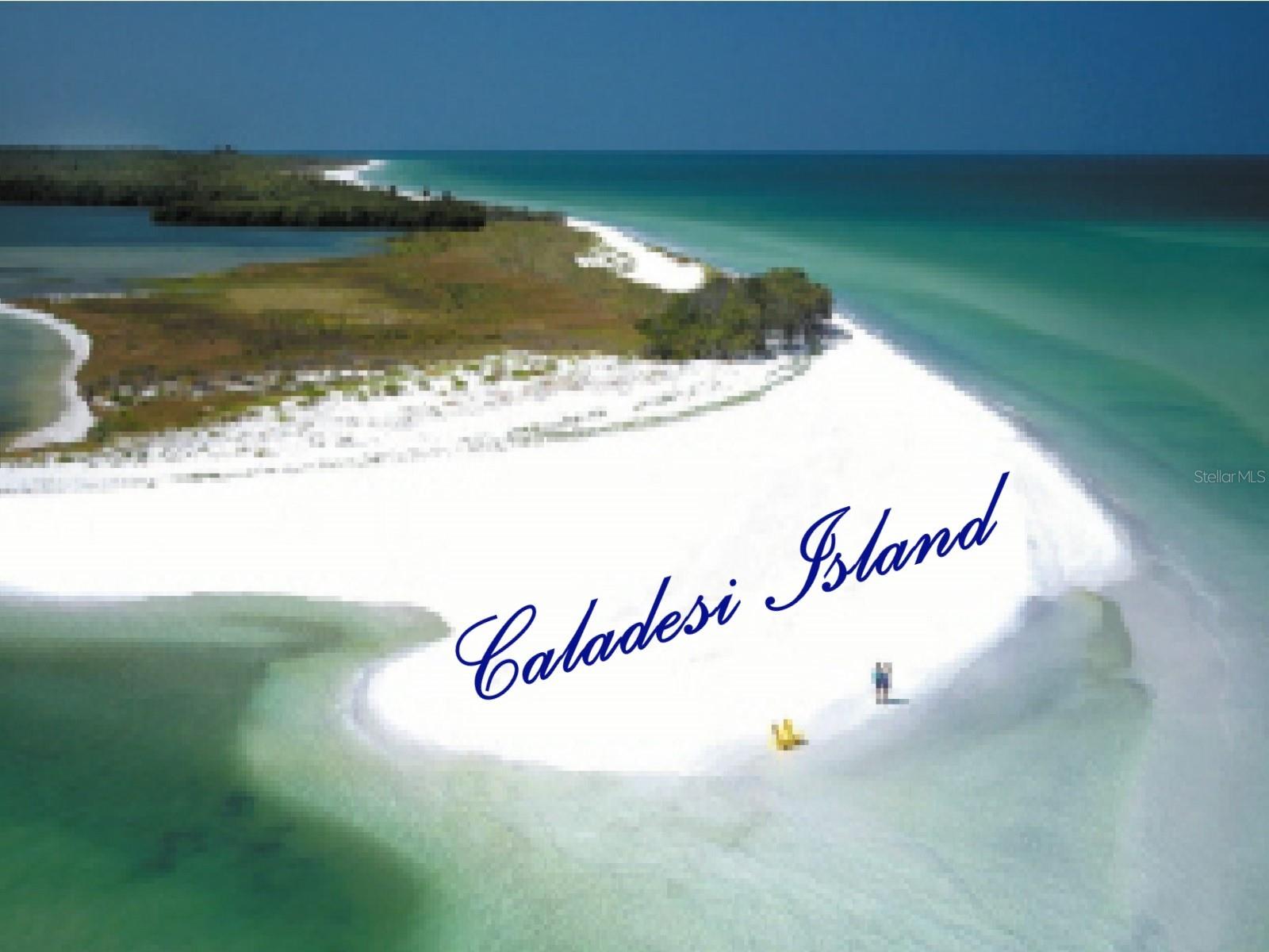 Image 62 of 84 For 7 Island Park Place 204