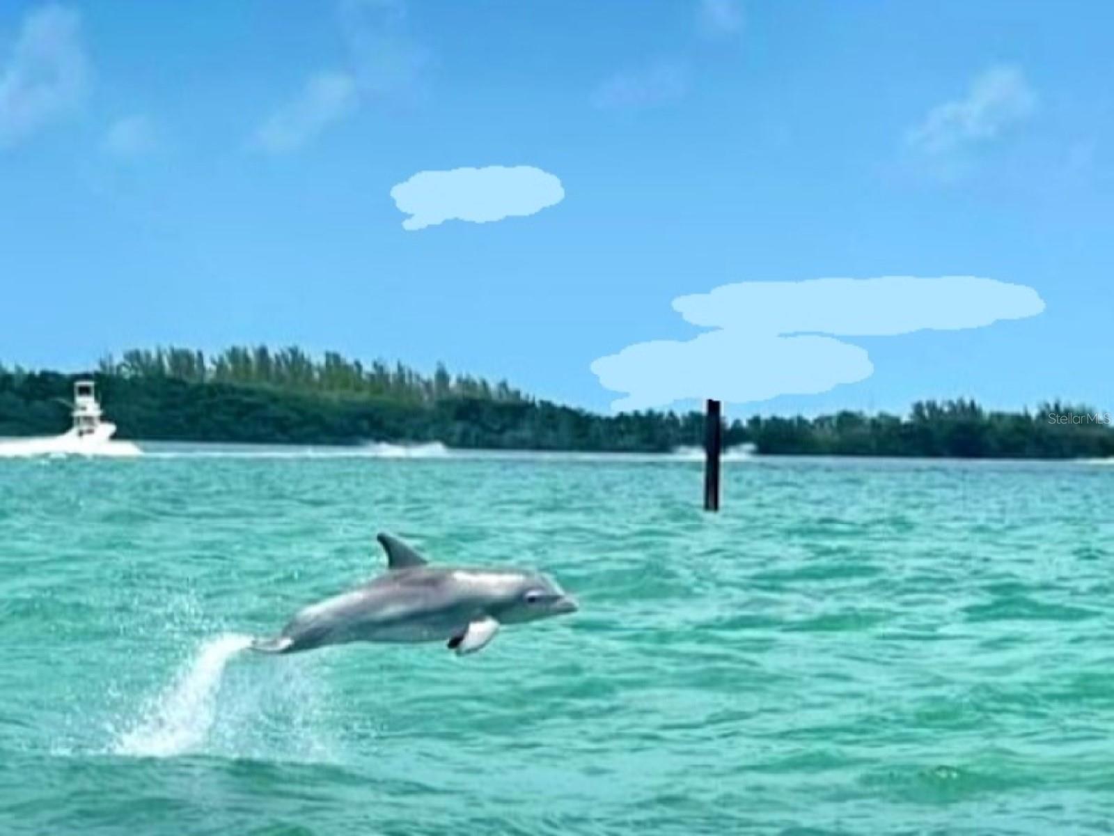 Image 64 of 84 For 7 Island Park Place 204