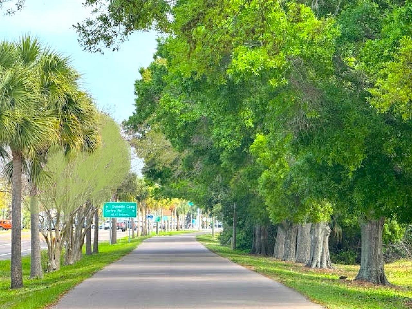 Image 69 of 84 For 7 Island Park Place 204