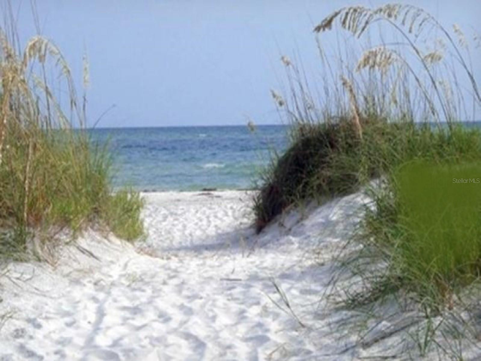 Image 77 of 84 For 7 Island Park Place 204