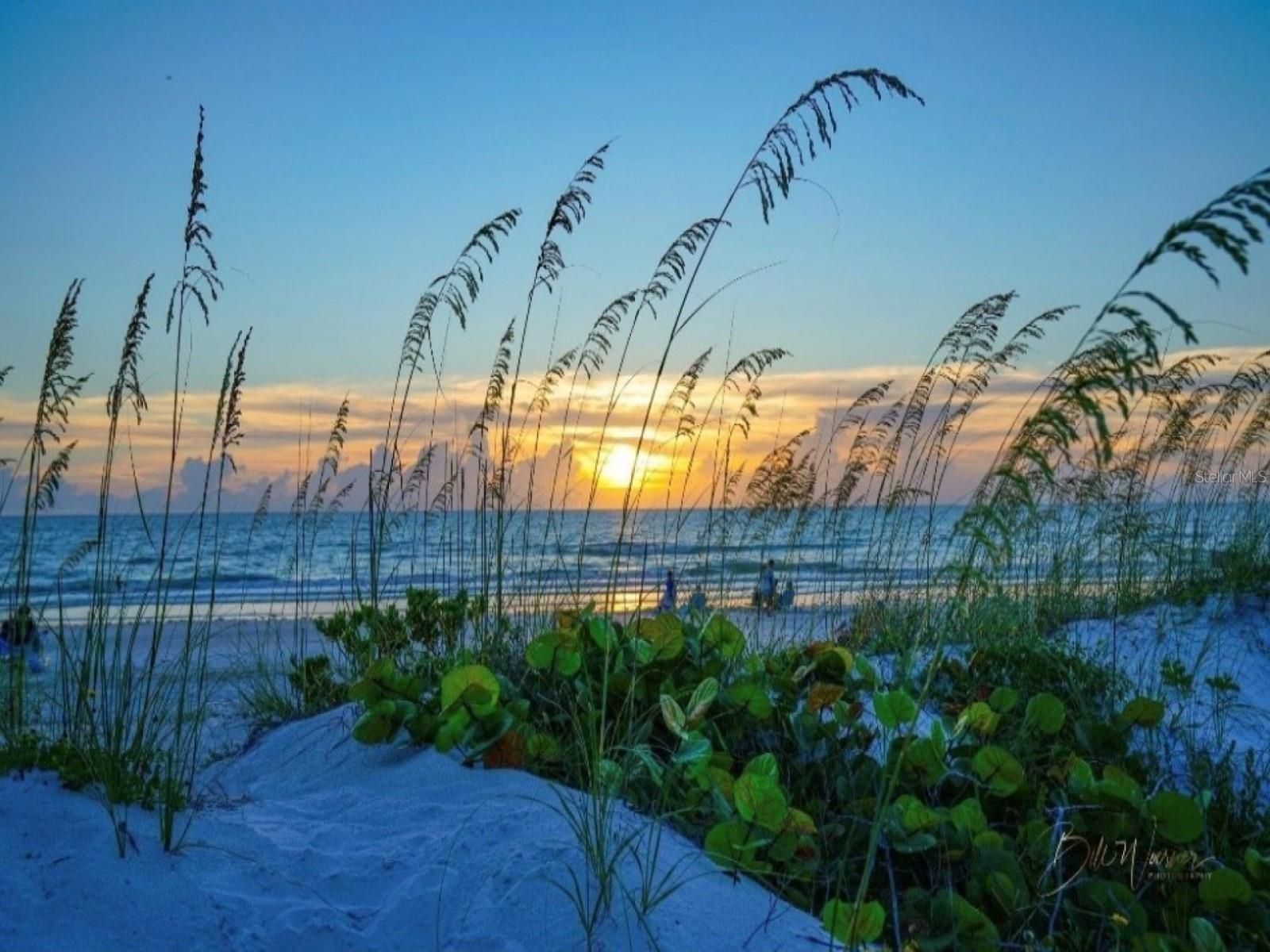 Image 79 of 84 For 7 Island Park Place 204