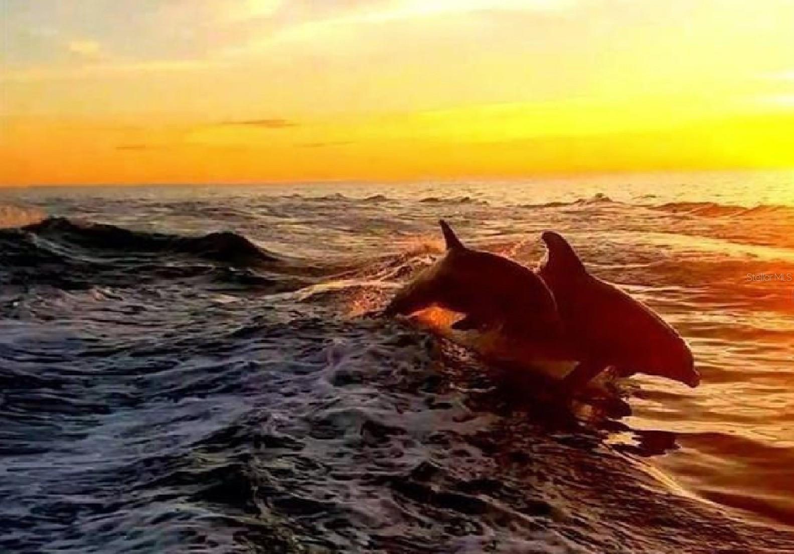 Image 83 of 84 For 7 Island Park Place 204