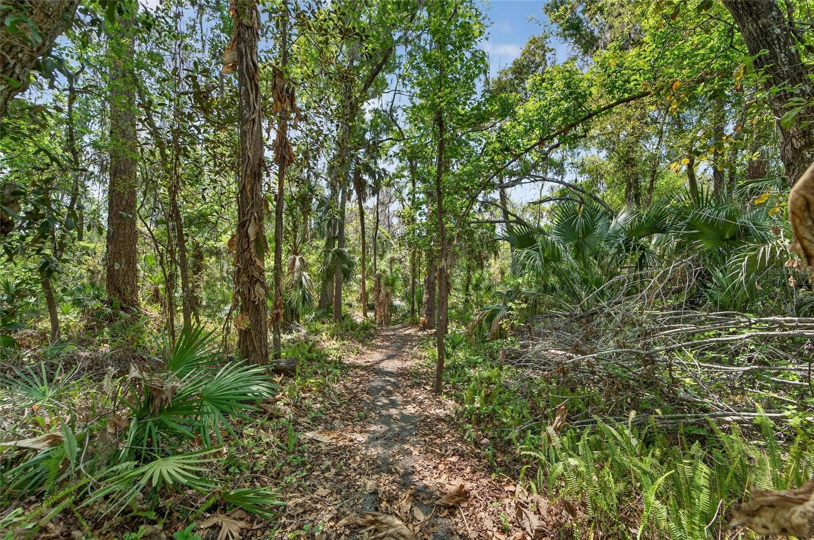 Image 74 of 88 For 902 River Rapids Avenue