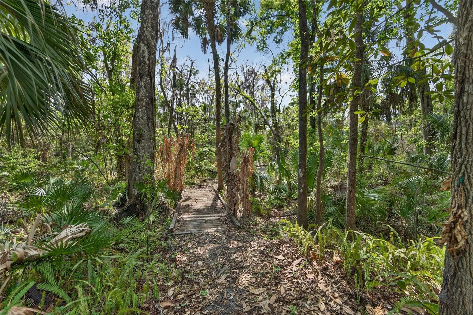 Image 75 of 88 For 902 River Rapids Avenue