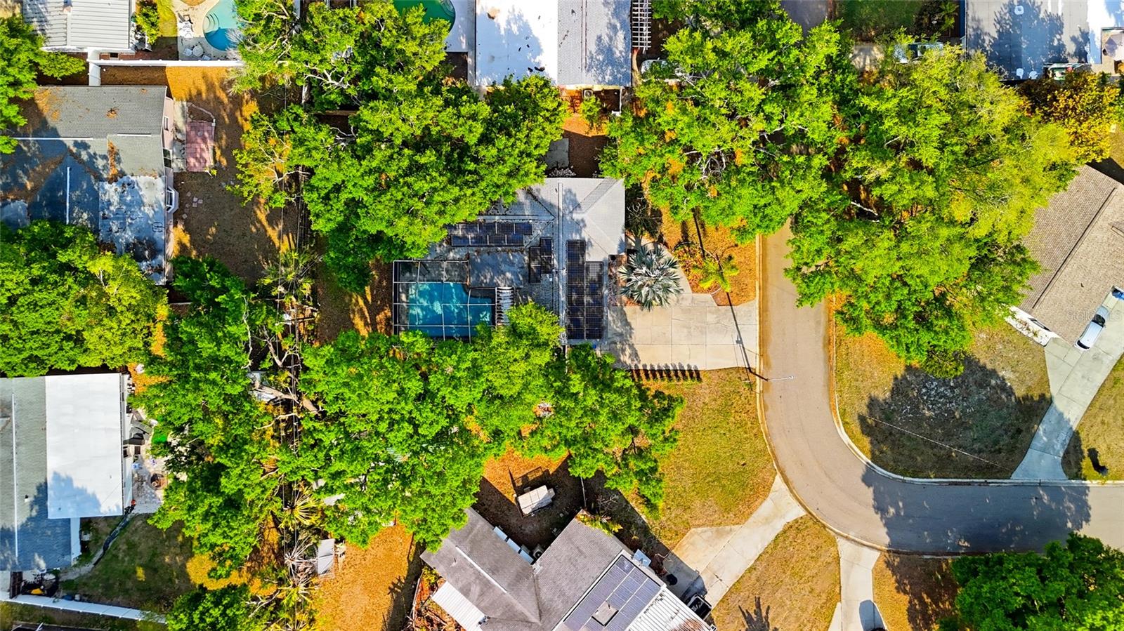 Image 39 of 45 For 1349 78th Avenue N