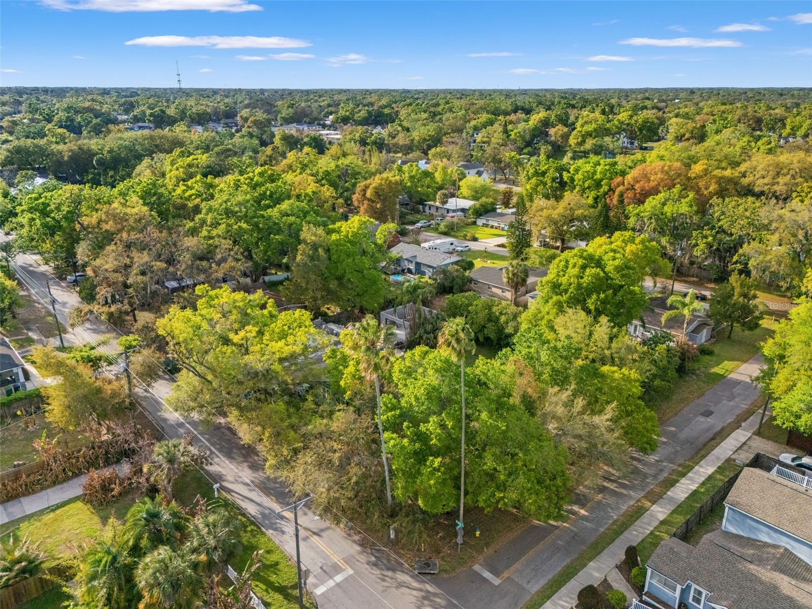 Image 4 of 11 For 303 Jean Street