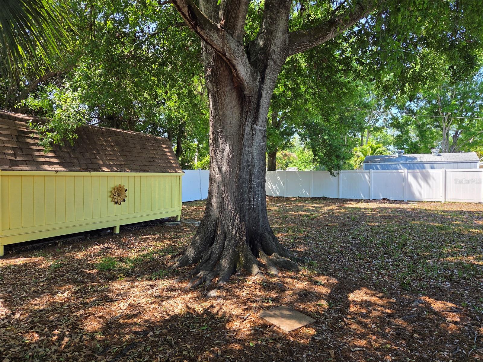 Image 29 of 36 For 5814 20th Ave S