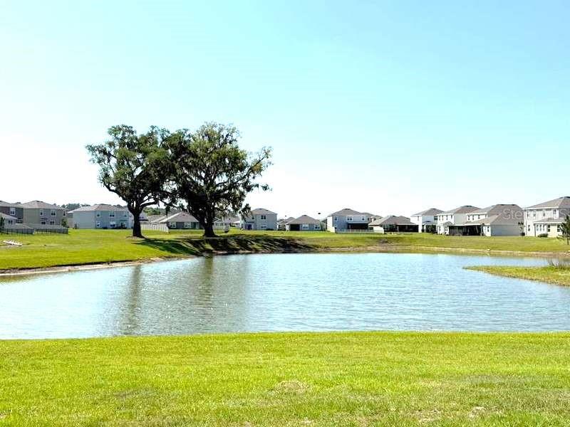 Image 26 of 38 For 32893 Osprey Peak Way