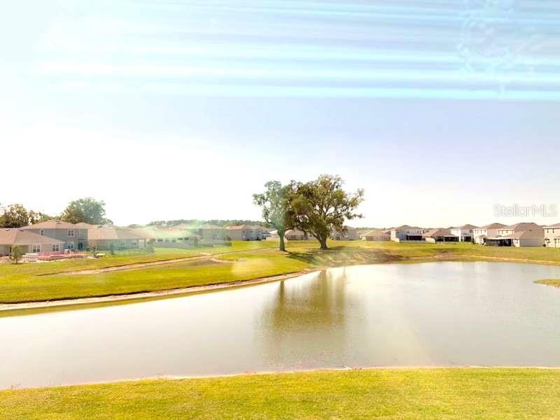 Image 31 of 38 For 32893 Osprey Peak Way