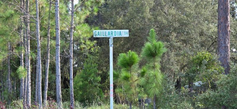 Image 4 of 10 For Gallardia Drive 13
